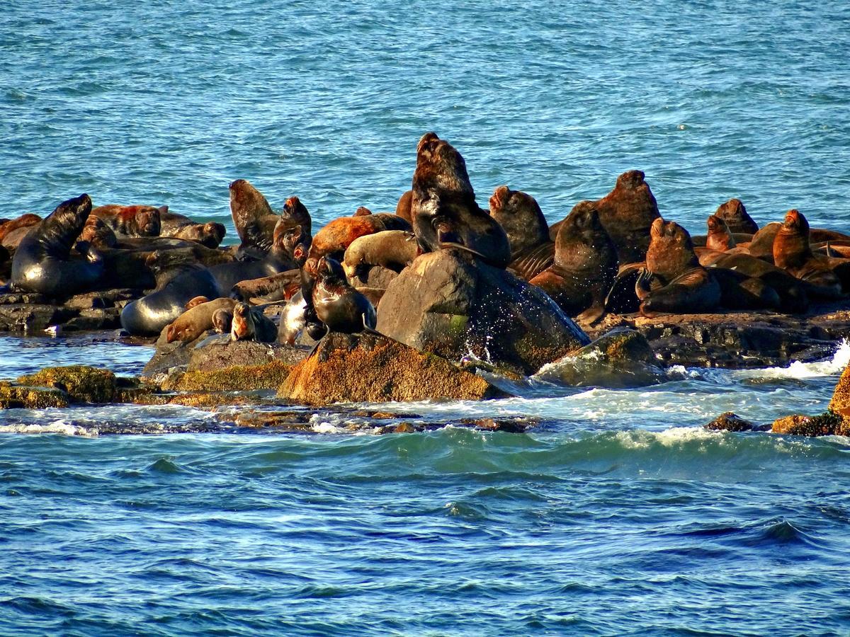Pousada Recanto Da Prainha Torres Exterior foto